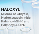 HALOXYL
Mixture of Chrysin, Hy-
droxysuccinimide, Palmitoyl-GHK and Palmitoyl-GQPR
